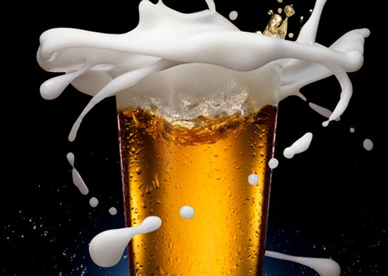 The Mahendra Hotel & Restaurant Nagaur